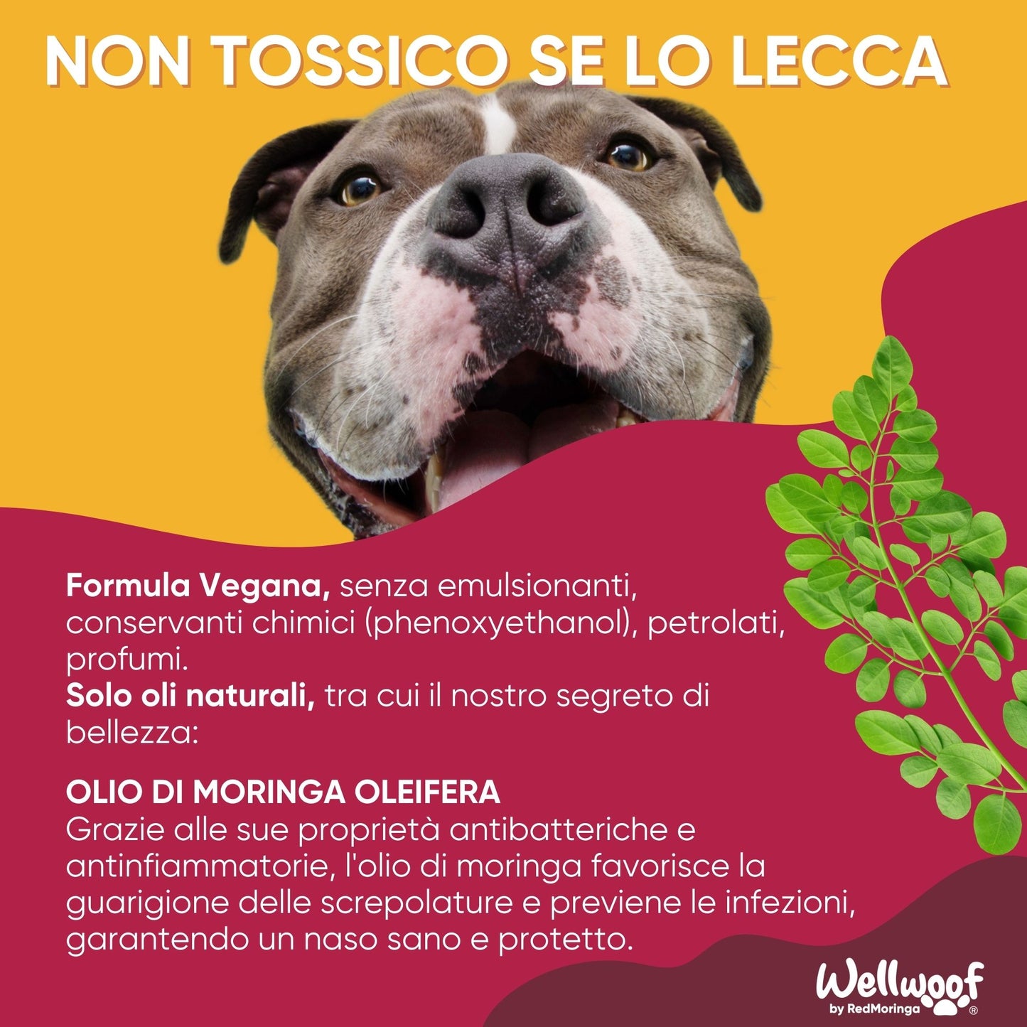 WellWoof Nose Balm for Dogs and Cats - 100% Natural Formula for Hydrated and Protected Nose - 70ml