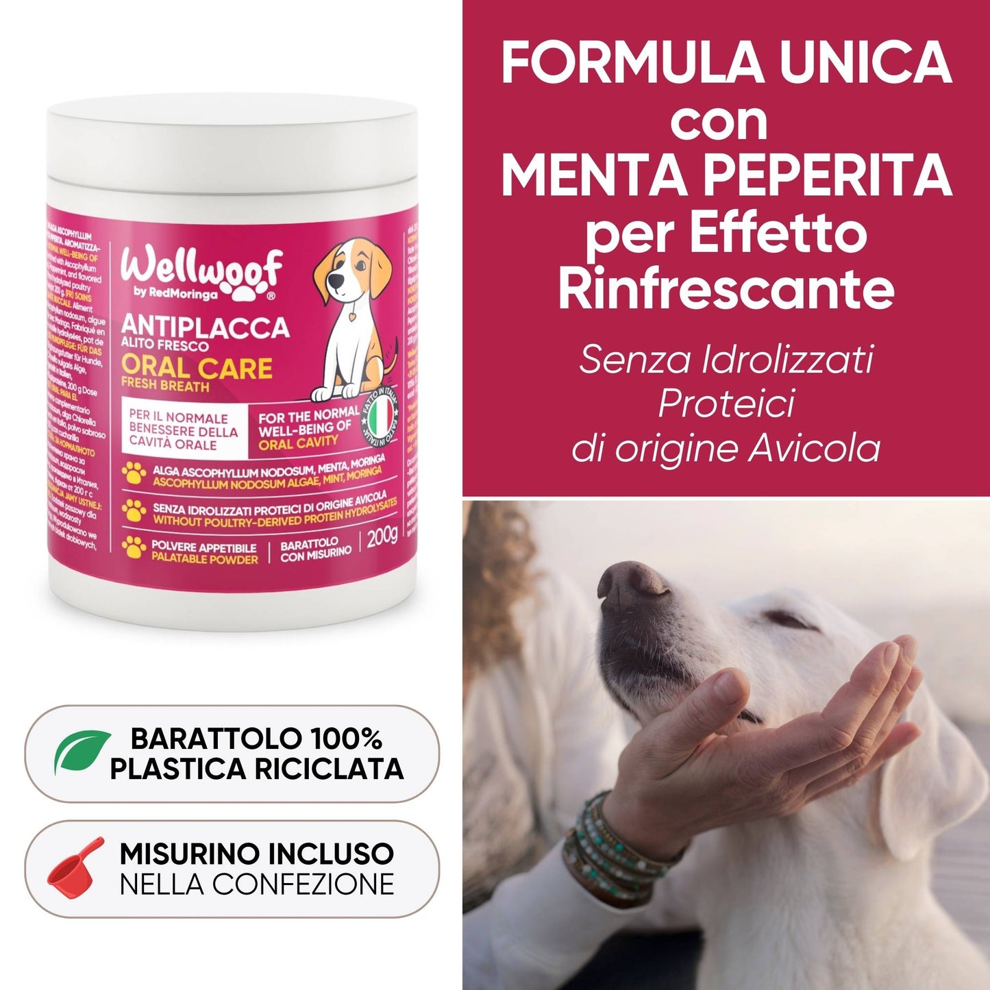 Pulizia denti cane naturale – riduce tartaro e migliora l’alito con alga Ascophyllum Nodosum
