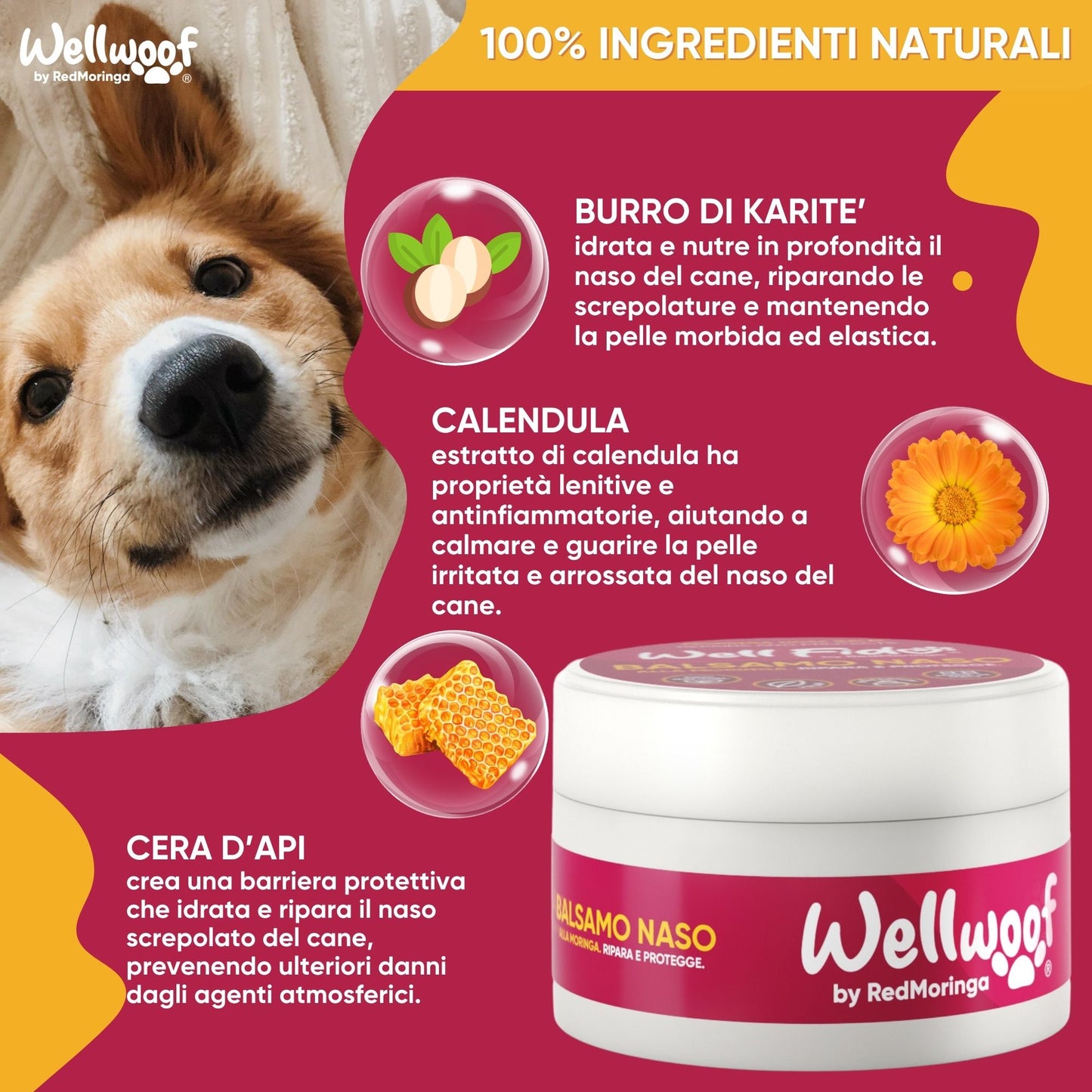 crema naso cane freddo caldo