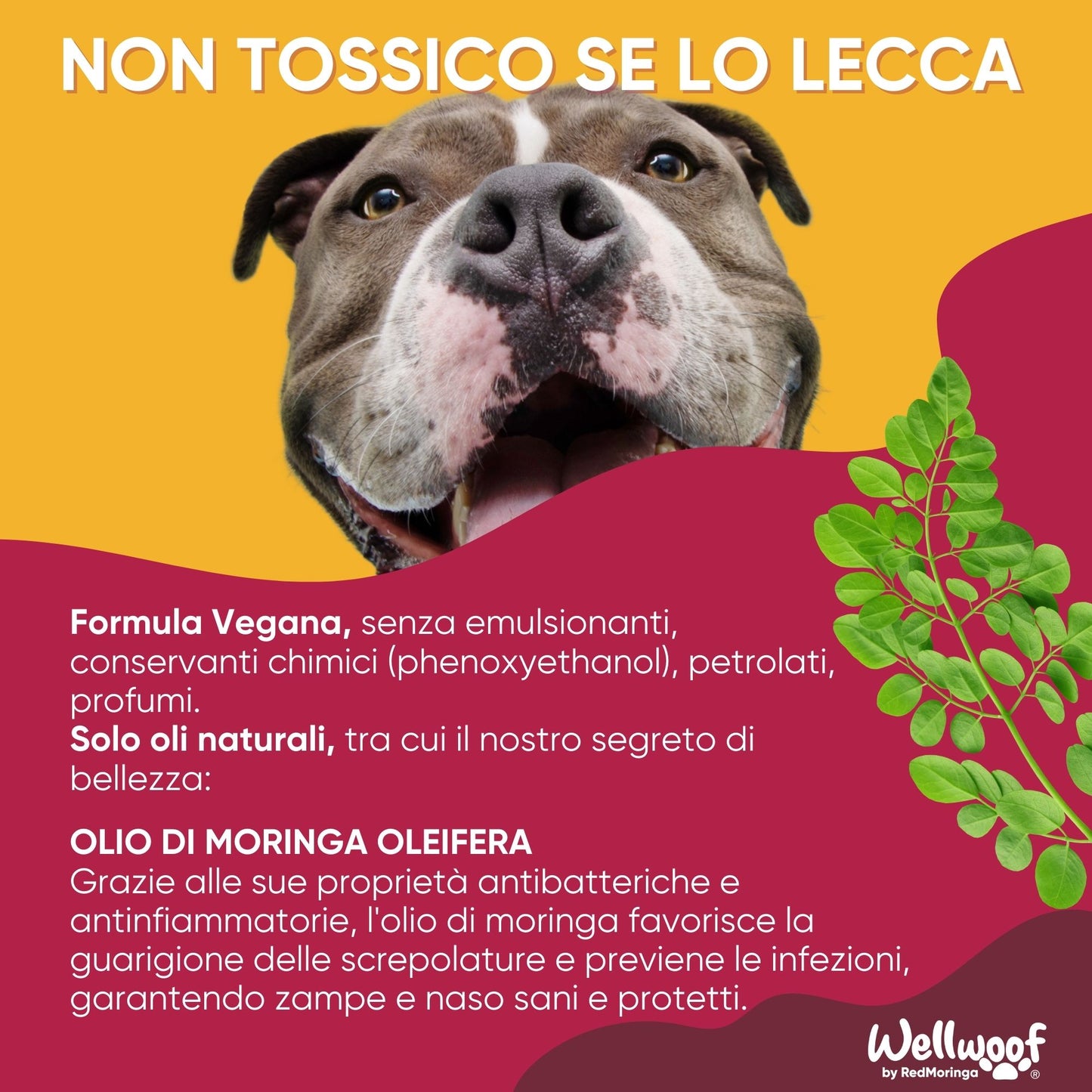 Crema Polpastrelli per Cani e Gatti
