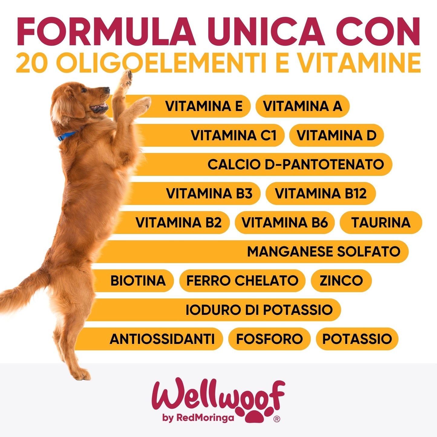 Supplemento nutrizionale per cani – favorisce pelo sano, digestione e metabolismo attivo