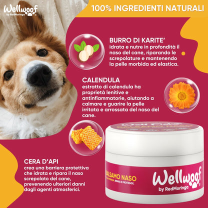  crema naso cane freddo caldo