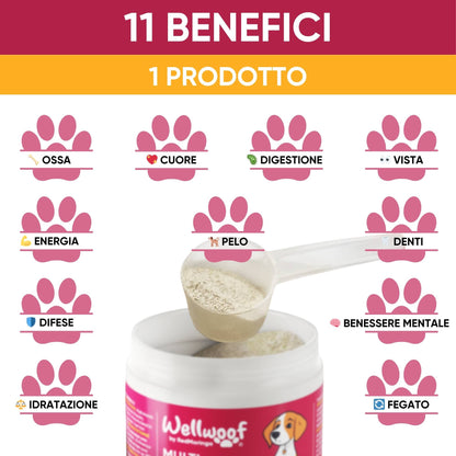 Integratore per cani in polvere con Moringa BIO – energia e salute quotidiana.