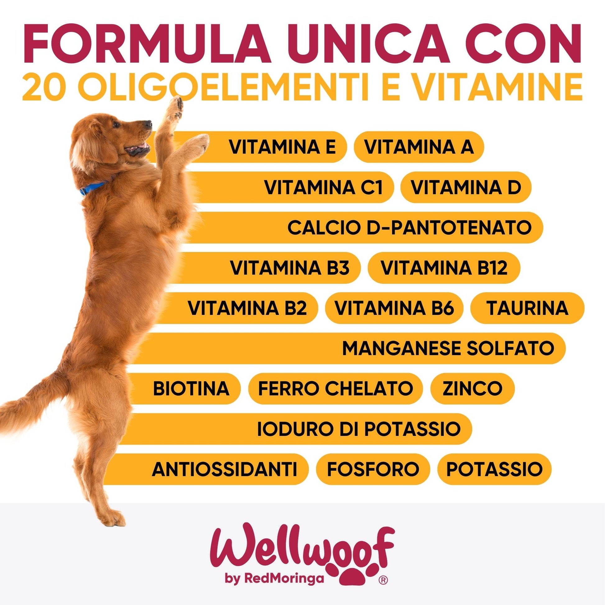 Supplemento nutrizionale per cani – favorisce pelo sano, digestione e metabolismo attivo